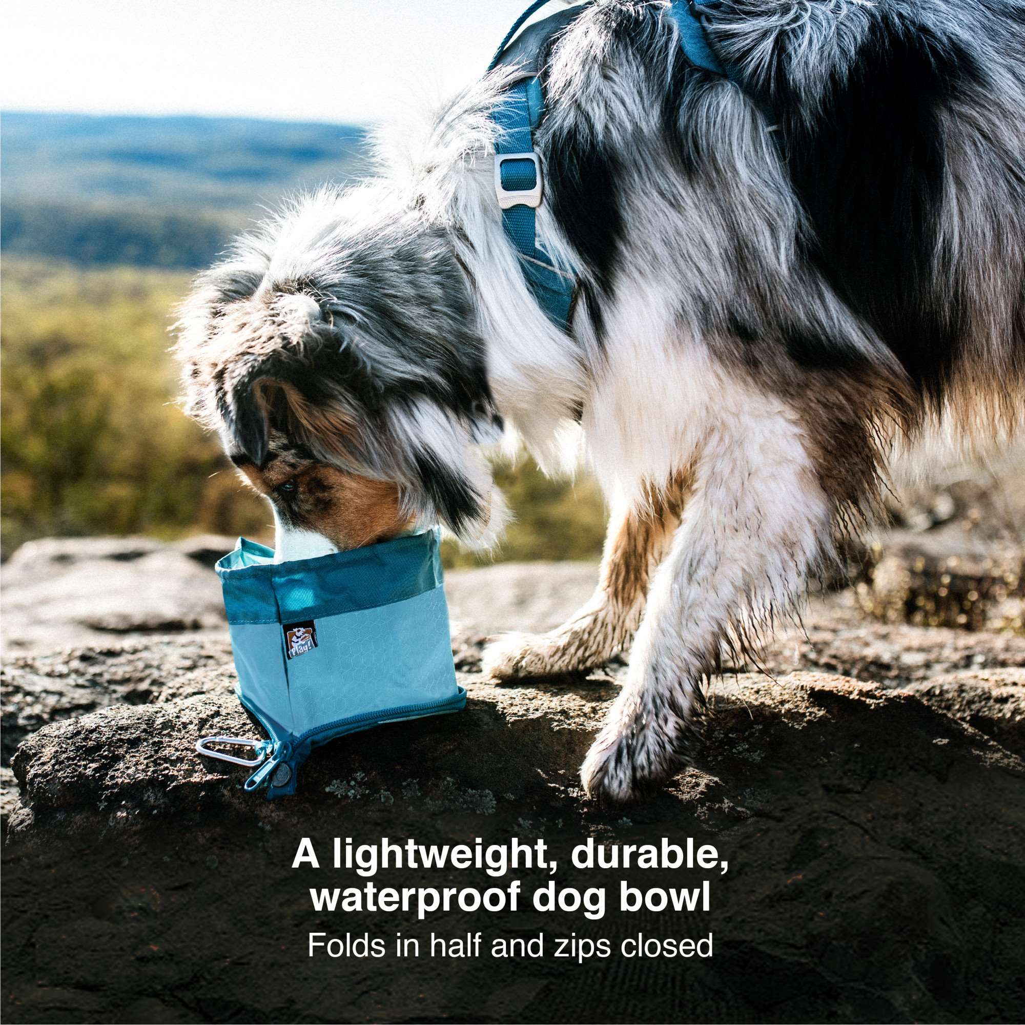 Kurgo Packable Zippy Bowl