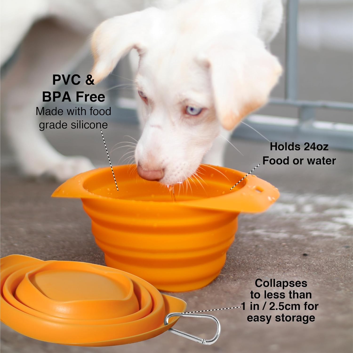 Kurgo Collapsible & Portable Travel Dog Bowl for Food & Water