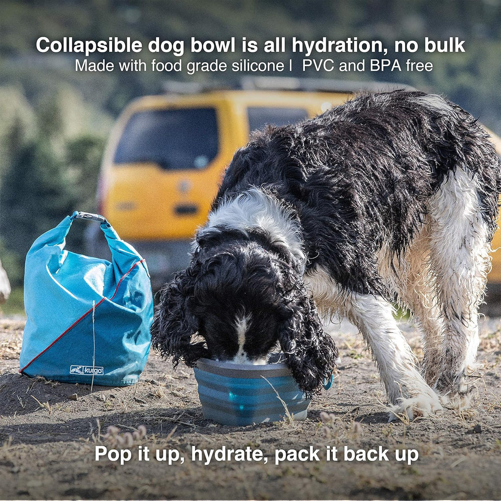 Kurgo Collapsible & Portable Travel Dog Bowl for Food & Water