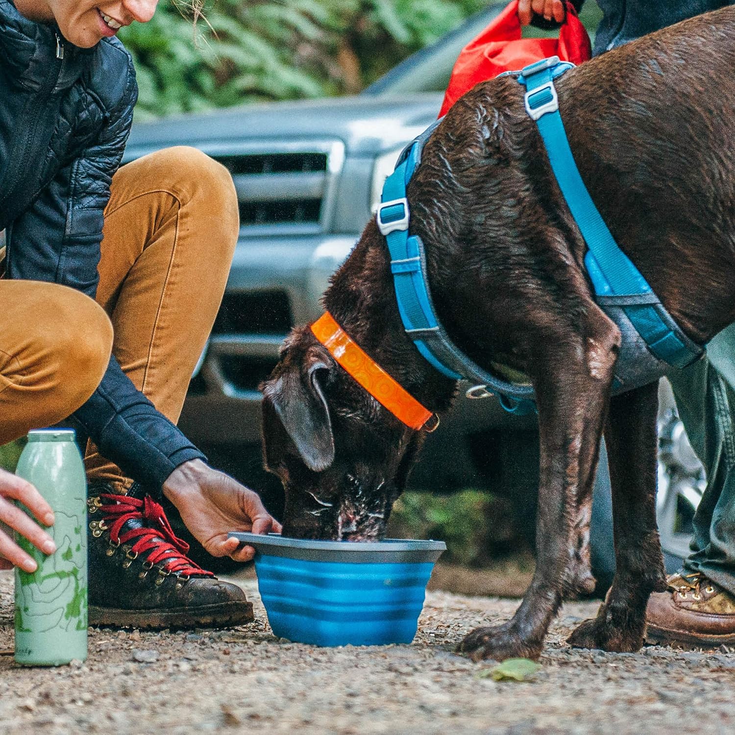 Kurgo Collapsible & Portable Travel Dog Bowl for Food & Water