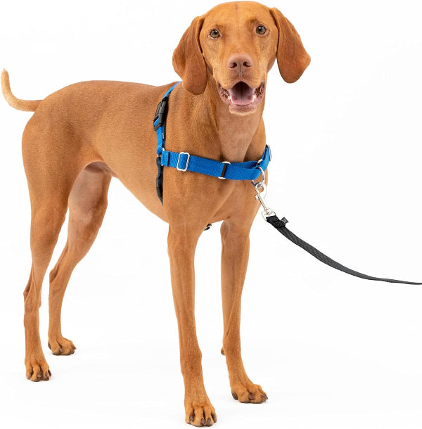 The PetSafe Easy Walk Harness