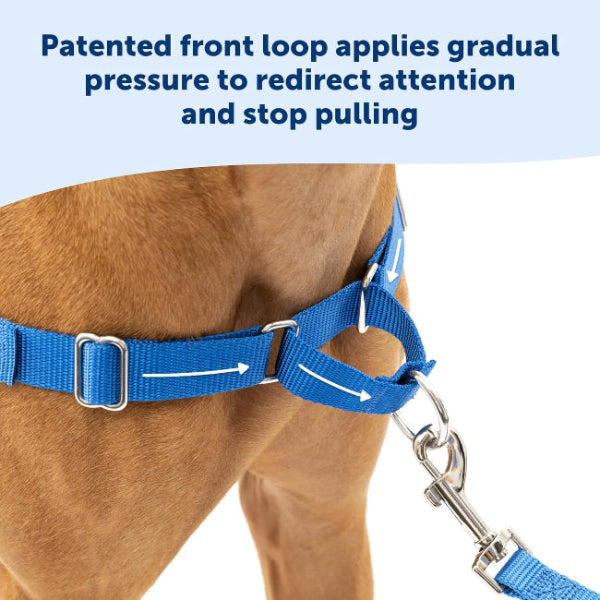The PetSafe Easy Walk Harness