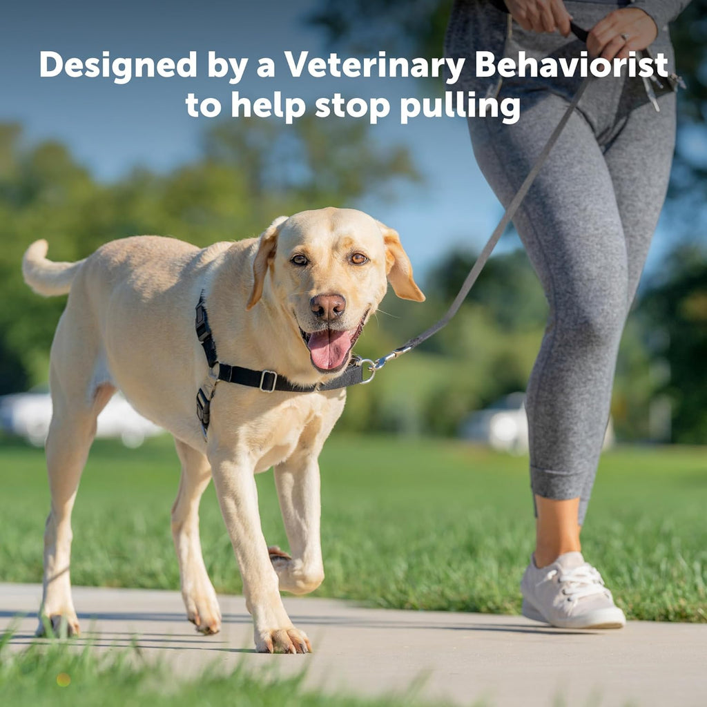 The PetSafe Easy Walk Harness